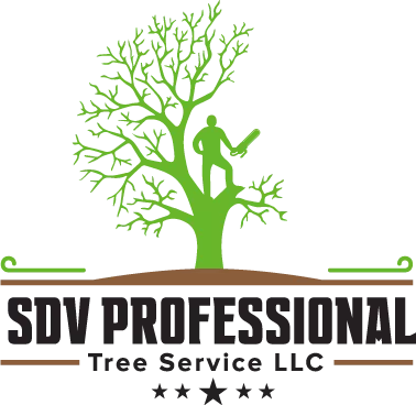 SDV Professional Tree Services LLC