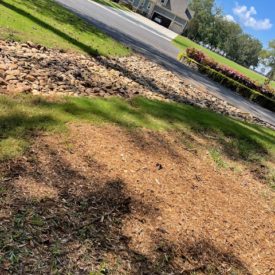 Stump Removal