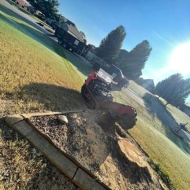 Stump Removal