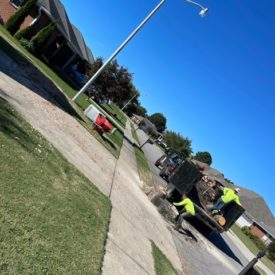 Tree Services