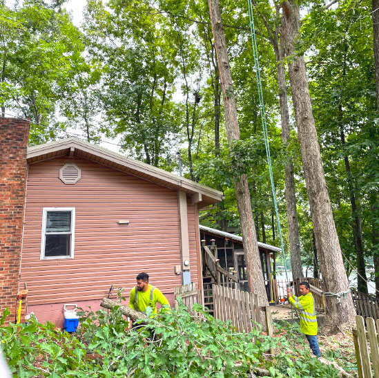 Tree Removal In Huntsville AL