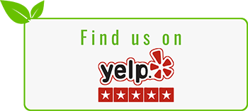 Yelp Icon