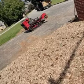 Stump Removal