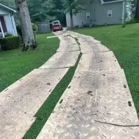 Tree Services