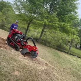 Stump Grinding