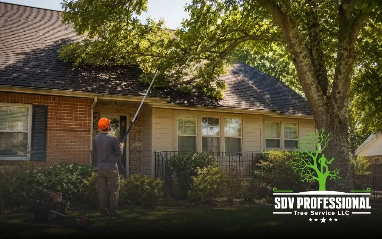Safe tree trimming near a roof to prevent damage in Huntsville AL